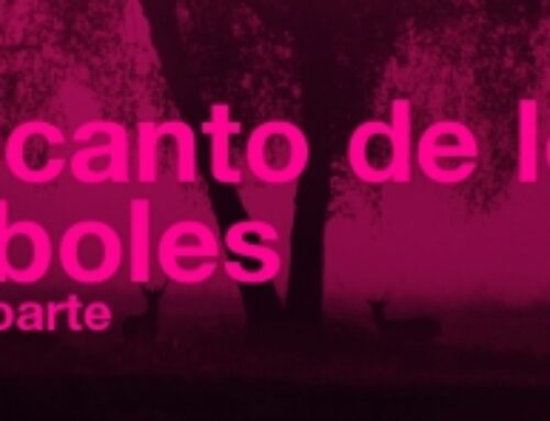 Ausstellung “El canto de los árboles”